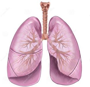 肺癌术后症状有哪些症状