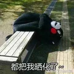 1-1PZ91623423U.jpg
