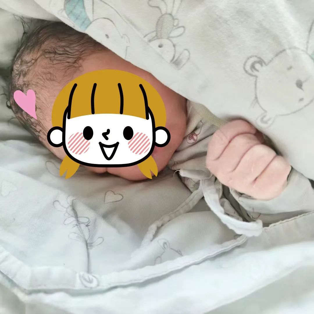 ͼƬ